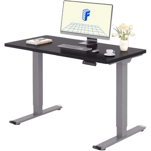 Flexispot E1 Pro (Gris/Noir)