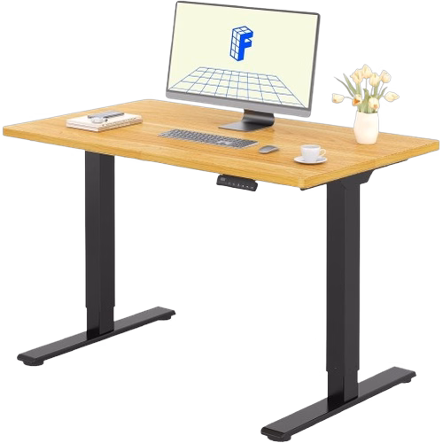 Flexispot E1 Pro (Noir/Erable)