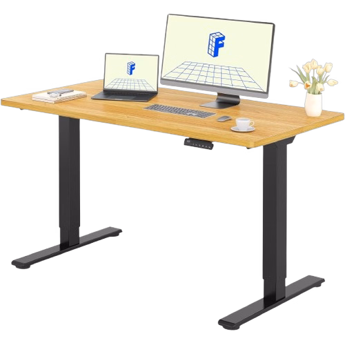 Flexispot E1 Pro 140x80 (Noir/Erable)