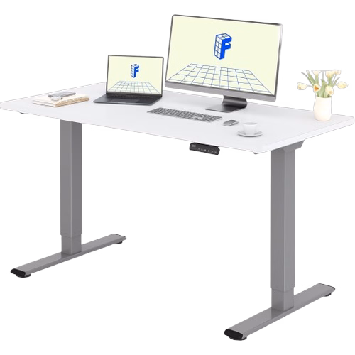 Flexispot E1 Pro (Gris/Blanc)