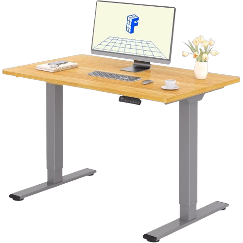 Flexispot E1 Pro (Gris/Erable)